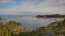./images/calvert/foggy-cove/20250804/foggy-cove20250804_082510M.jpg
