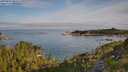./images/calvert/foggy-cove/20250804/foggy-cove20250804_083509M.jpg