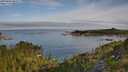 ./images/calvert/foggy-cove/20250804/foggy-cove20250804_084009M.jpg