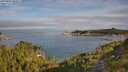 ./images/calvert/foggy-cove/20250804/foggy-cove20250804_085011M.jpg