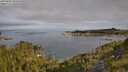 ./images/calvert/foggy-cove/20250804/foggy-cove20250804_090010M.jpg