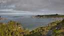 ./images/calvert/foggy-cove/20250804/foggy-cove20250804_090508M.jpg