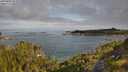 ./images/calvert/foggy-cove/20250804/foggy-cove20250804_091010M.jpg