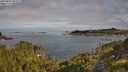 ./images/calvert/foggy-cove/20250804/foggy-cove20250804_091507M.jpg