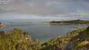 ./images/calvert/foggy-cove/20250804/foggy-cove20250804_092010M.jpg