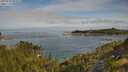 ./images/calvert/foggy-cove/20250804/foggy-cove20250804_092509M.jpg