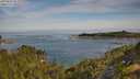 ./images/calvert/foggy-cove/20250804/foggy-cove20250804_093010M.jpg