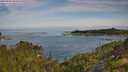 ./images/calvert/foggy-cove/20250804/foggy-cove20250804_093510M.jpg