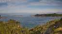 ./images/calvert/foggy-cove/20250804/foggy-cove20250804_094011M.jpg