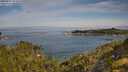 ./images/calvert/foggy-cove/20250804/foggy-cove20250804_094510M.jpg