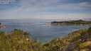 ./images/calvert/foggy-cove/20250804/foggy-cove20250804_095009M.jpg