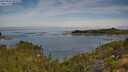 ./images/calvert/foggy-cove/20250804/foggy-cove20250804_095509M.jpg