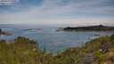 ./images/calvert/foggy-cove/20250804/foggy-cove20250804_100011M.jpg