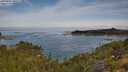 ./images/calvert/foggy-cove/20250804/foggy-cove20250804_100508M.jpg