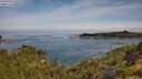 ./images/calvert/foggy-cove/20250804/foggy-cove20250804_101010M.jpg