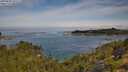 ./images/calvert/foggy-cove/20250804/foggy-cove20250804_101511M.jpg