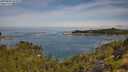 ./images/calvert/foggy-cove/20250804/foggy-cove20250804_102010M.jpg