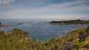 ./images/calvert/foggy-cove/20250804/foggy-cove20250804_102506M.jpg