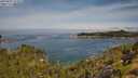 ./images/calvert/foggy-cove/20250804/foggy-cove20250804_103009M.jpg