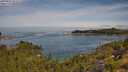 ./images/calvert/foggy-cove/20250804/foggy-cove20250804_103508M.jpg