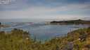 ./images/calvert/foggy-cove/20250804/foggy-cove20250804_104008M.jpg