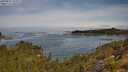 ./images/calvert/foggy-cove/20250804/foggy-cove20250804_104509M.jpg