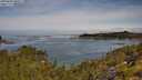 ./images/calvert/foggy-cove/20250804/foggy-cove20250804_105009M.jpg