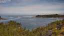 ./images/calvert/foggy-cove/20250804/foggy-cove20250804_105507M.jpg