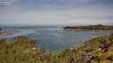./images/calvert/foggy-cove/20250804/foggy-cove20250804_110510M.jpg
