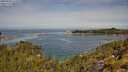 ./images/calvert/foggy-cove/20250804/foggy-cove20250804_111010M.jpg