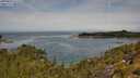 ./images/calvert/foggy-cove/20250804/foggy-cove20250804_112510M.jpg