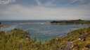 ./images/calvert/foggy-cove/20250804/foggy-cove20250804_114011M.jpg