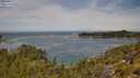 ./images/calvert/foggy-cove/20250804/foggy-cove20250804_115510M.jpg