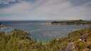 ./images/calvert/foggy-cove/20250804/foggy-cove20250804_121509M.jpg