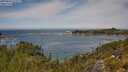 ./images/calvert/foggy-cove/20250804/foggy-cove20250804_122507M.jpg