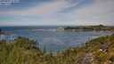./images/calvert/foggy-cove/20250804/foggy-cove20250804_123009M.jpg