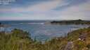 ./images/calvert/foggy-cove/20250804/foggy-cove20250804_123509M.jpg