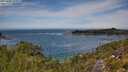 ./images/calvert/foggy-cove/20250804/foggy-cove20250804_124511M.jpg