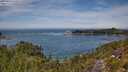 ./images/calvert/foggy-cove/20250804/foggy-cove20250804_130010M.jpg