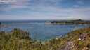 ./images/calvert/foggy-cove/20250804/foggy-cove20250804_130509M.jpg