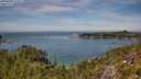 ./images/calvert/foggy-cove/20250804/foggy-cove20250804_132011M.jpg