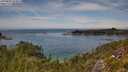 ./images/calvert/foggy-cove/20250804/foggy-cove20250804_134009M.jpg