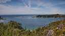 ./images/calvert/foggy-cove/20250804/foggy-cove20250804_141008M.jpg