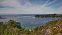 ./images/calvert/foggy-cove/20250804/foggy-cove20250804_143510M.jpg