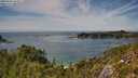 ./images/calvert/foggy-cove/20250804/foggy-cove20250804_144511M.jpg
