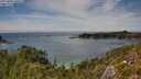 ./images/calvert/foggy-cove/20250804/foggy-cove20250804_145509M.jpg