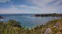 ./images/calvert/foggy-cove/20250804/foggy-cove20250804_150508M.jpg