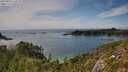 ./images/calvert/foggy-cove/20250804/foggy-cove20250804_160508M.jpg