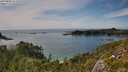 ./images/calvert/foggy-cove/20250804/foggy-cove20250804_161010M.jpg