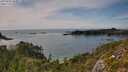 ./images/calvert/foggy-cove/20250804/foggy-cove20250804_162007M.jpg